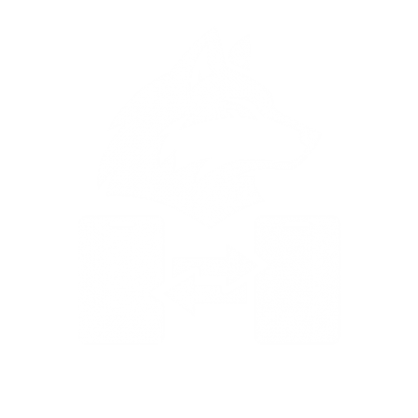 DialcaLink Logo